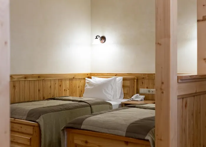 Ganz Lift 5 Otel